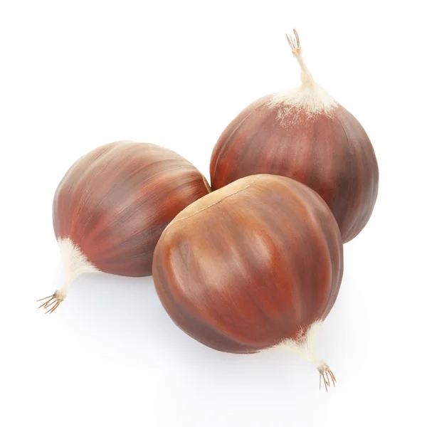 Chestnuts group on white — Stock Photo, Image