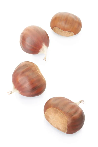 Chestnuts collection — Stock Photo, Image