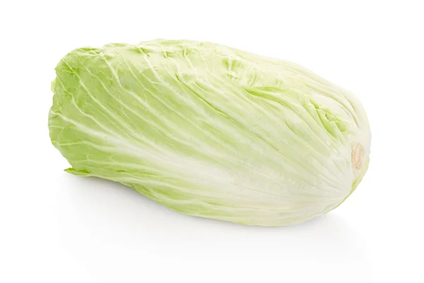 Chicory, Milan salad — Stock Photo, Image
