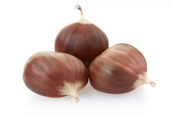 Chestnuts group — Stock Photo, Image