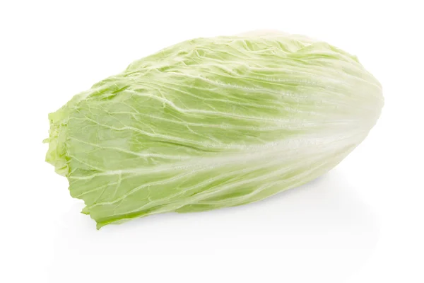 Chicorée, Mailänder Salat auf Weiß — Stockfoto
