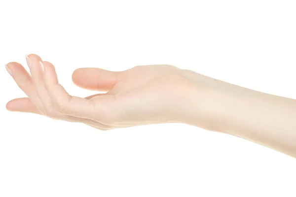 Weibliche Hand offen, Handfläche nach oben — Stockfoto