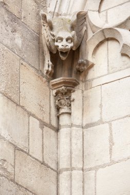 Notre dame de paris Katedrali gargoyle heykel