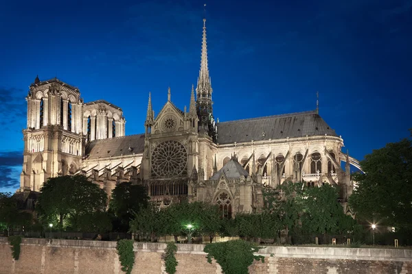 Notre Dame de Paris di notte, vista laterale — Foto Stock