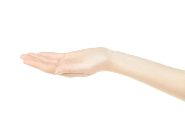 Female Hand Open Palm Up Empty Background Stock Photo Female Hand Open Palm Up Empty Background Stock Photo