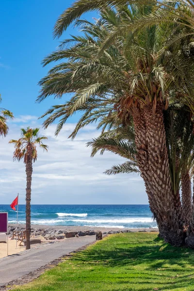 Ensam Stig Väg Mot Playa Del Camison Vacker Kuststege Med — Stockfoto