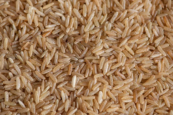Long-grained brown rice, a highly nutritious gluten-free whole grain used in a variety of dishes and a great source of dietary fiber and vitamins; background of raw dried food flat lay with copy space