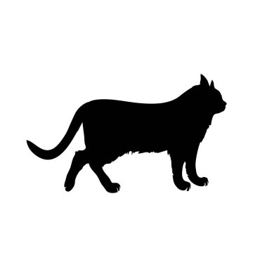 Uzun pofuduk kuyruklu, beyaz arka planı olan bir kedinin siyah silueti. Vektör, resimleme