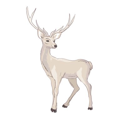 Çizgi film geyiği. Çocuklar için sevimli bir karakter. Çizgi film tarzında vektör illüstrasyonu.