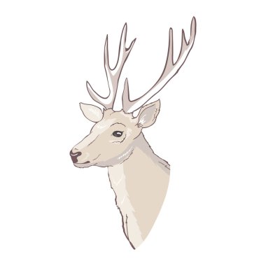 Çizgi film geyiği. Çocuklar için sevimli bir karakter. Çizgi film tarzında vektör illüstrasyonu.