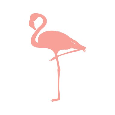 Flamingo kuşunun silüetinin vektör görüntüsü beyaz arka planda tek ayak üzerinde duruyor.