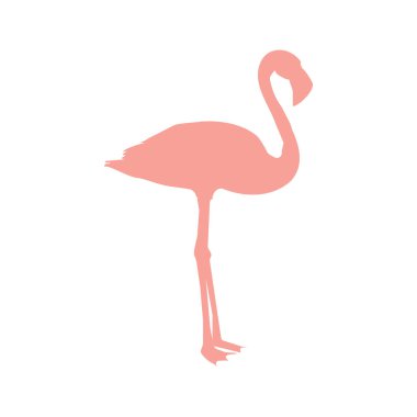 Flamingo kuşunun silüetinin vektör görüntüsü beyaz arka planda tek ayak üzerinde duruyor.