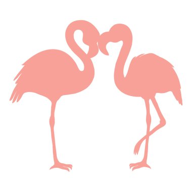 Beyaz arka planda iki pembe flamingo kuşunun siluetinin vektör görüntüsü