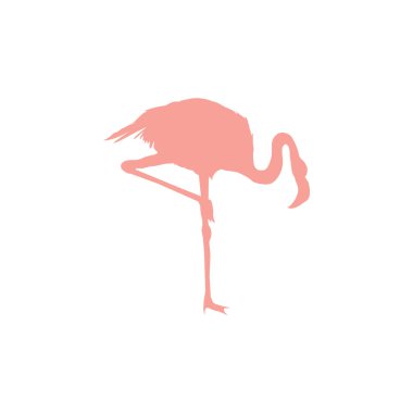 Flamingo kuşunun silüetinin vektör görüntüsü beyaz arka planda tek ayak üzerinde duruyor.