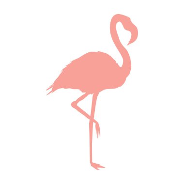 Flamingo kuşunun silüetinin vektör görüntüsü beyaz arka planda tek ayak üzerinde duruyor.