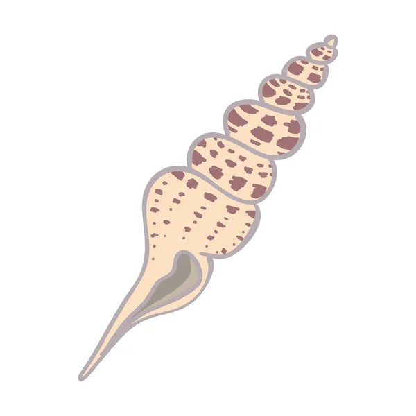Cute Shell Laut Pada Latar Belakang Putih Vektor Ilustrasi Gambar - Stok Vektor
