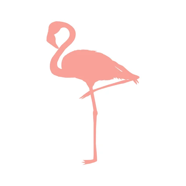 Vector Afbeelding Van Een Silhouet Van Een Flamingo Vogel Staand — Stockvector