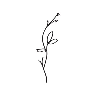 İzole edilmiş bir zemine elle bir yaprak dalı çiz. Vektör, resimleme