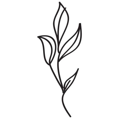 İzole edilmiş bir zemine elle bir yaprak dalı çiz. Vektör, resimleme