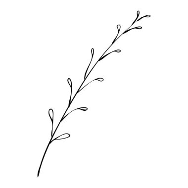 İzole edilmiş bir zemine elle bir yaprak dalı çiz. Vektör, resimleme