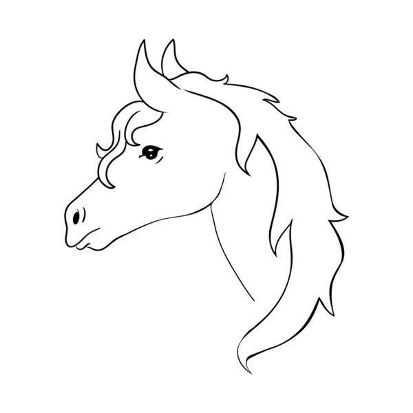Sketch Realistic Vector Illustration Horse Portrait Horse Portrait White Background — Stock Vector