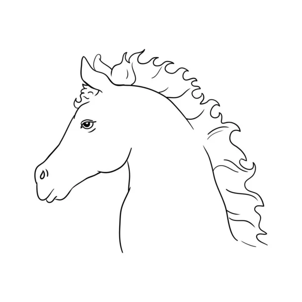 Schets Realistische Vector Illustratie Van Een Paard Portret Paard Portret — Stockvector