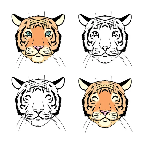 Tiger Head Hand Drawn Decorative Vector Illustration Color Outline Set — Stock Vector
