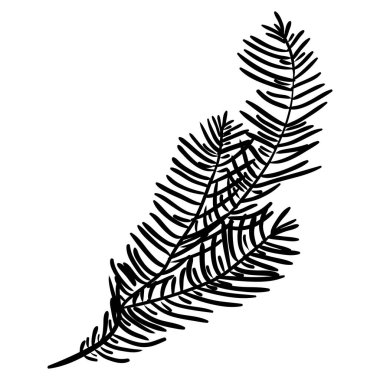 Noel ya da yeni yıl için kendi tasarımını yapmak için el yapımı çam dalları. Vektör, resimleme.