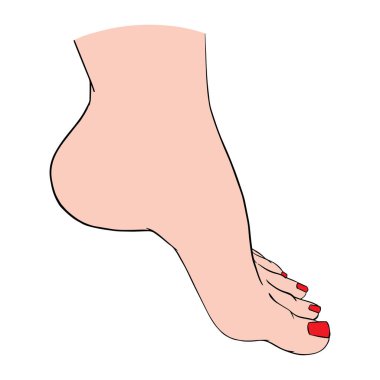 Güzel kadın ayakları yalın ayak çizimi. Spa, manikür ya da kozmetik için bir tasarım unsuru. Bir konturun vektör illüstrasyonu.