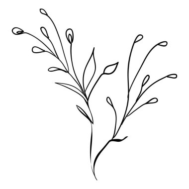 İzole edilmiş bir arka planda yaprakların çizimi. Vektör, resimleme