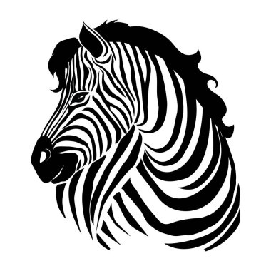 Güzel Zebra, beyaz arkaplanda izole edilmiş kameraya bakıyor. Dövme ve baskı için vektör çizimi.