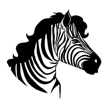 Güzel Zebra, beyaz arkaplanda izole edilmiş kameraya bakıyor. Dövme ve baskı için vektör çizimi.