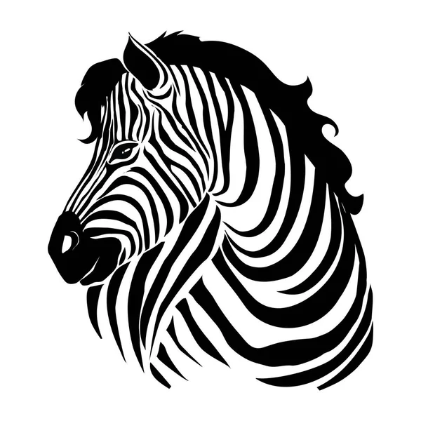 Closeup Beautiful Potrait Zebra Looking Camera Isolated White Background Vector — Stock Vector
