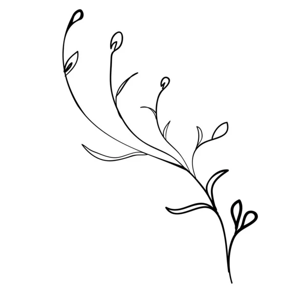 孤立した背景に手で葉のスケッチ枝 ベクトルイラスト — ストックベクタ
