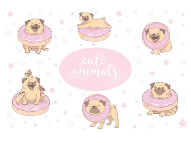 Pug köpek farklı teşkil etmektedir, düz vektör ayarlayın. Kısa bej bir palto, sevimli köpek namlu buruşuk ve kuyruk kıvrılmış. Ev evde beslenen hayvan