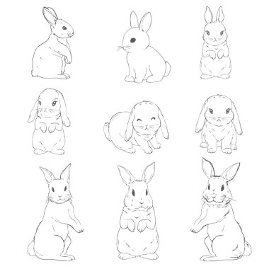 Beyaz arka planda elle çizilmiş, siyah beyaz şirin bir tavşan çizimi yap. Vektör Resimleri.