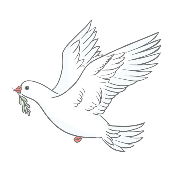 Pigeon Green Olive Branch White Background Logo Symbol Love Messengers — Stok Vektör