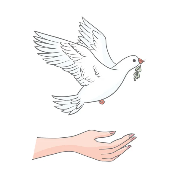 Peace Dove Olive Branch Beak Flying Hands Vector Illustration — Stok Vektör