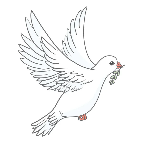 Pigeon Green Olive Branch White Background Logo Symbol Love Messengers — Stok Vektör