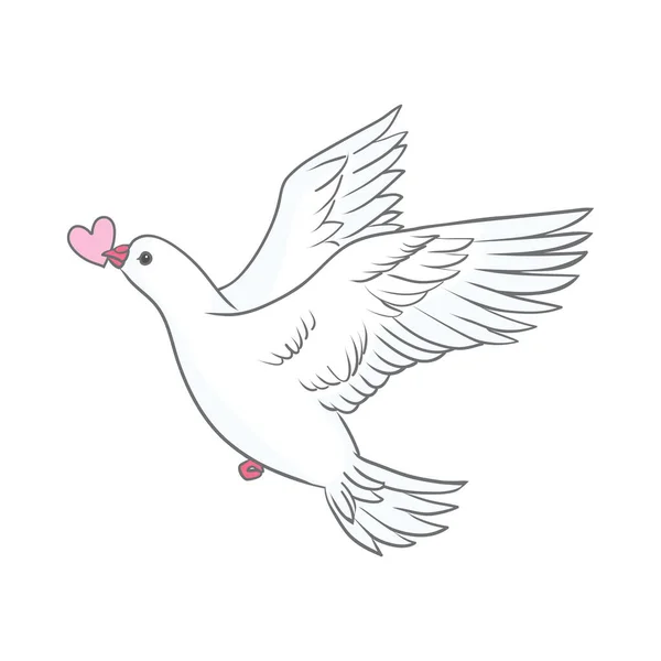Baixe Pombo Branco em Design em Forma de Coração PNG - Creative