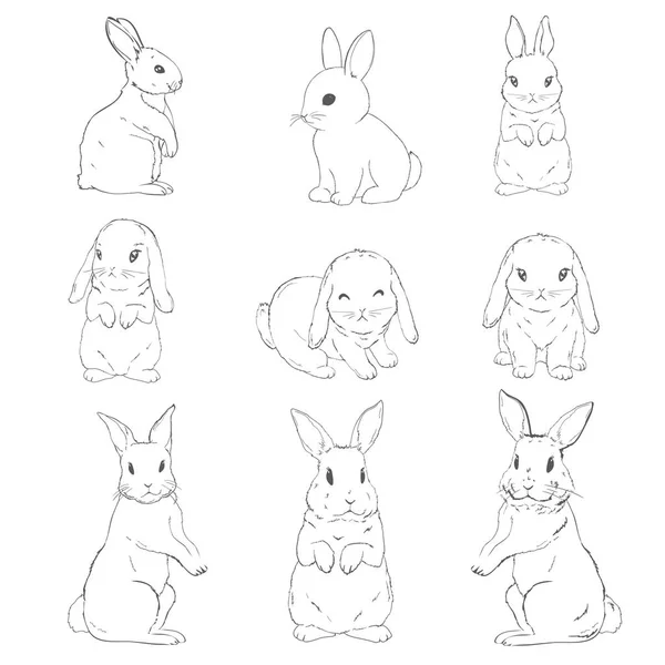 Set Sketch Cute Rabbit Black White Hand Drawn White Background — Stok Vektör