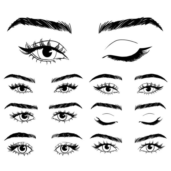 Illustration with woman's eyes, eyelashes and eyebrows. Makeup Look. Tattoo design. Logo for brow bar or lash salon.
