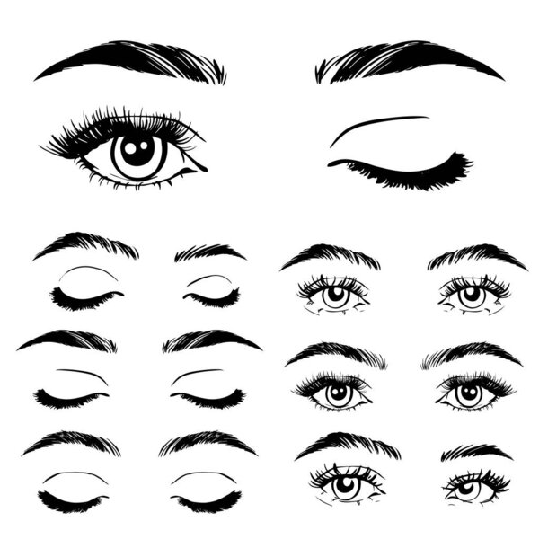 Illustration with woman's eyes, eyelashes and eyebrows. Makeup Look. Tattoo design. Logo for brow bar or lash salon.