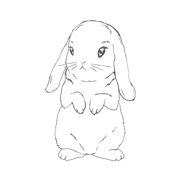 Sketch Cute Rabbit Black White Hand Drawn White Background Vector — Stok Vektör