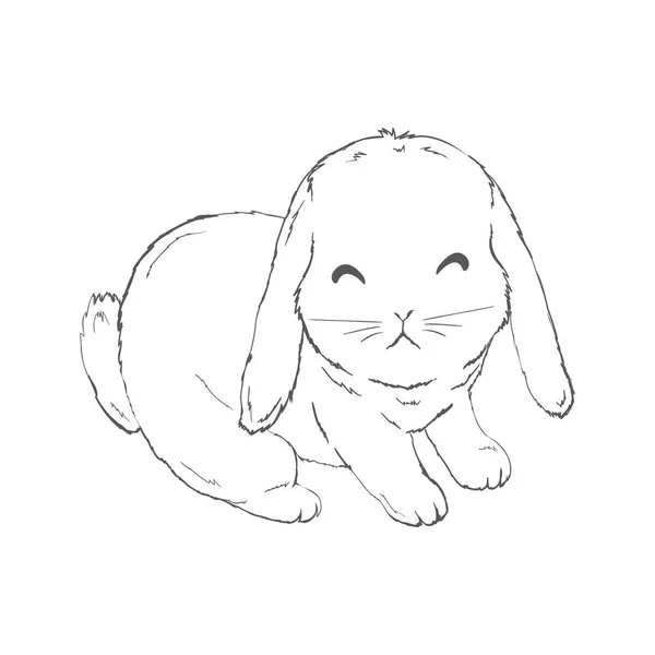 Sketch Cute Rabbit Black White Hand Drawn White Background Vector — Stockvector