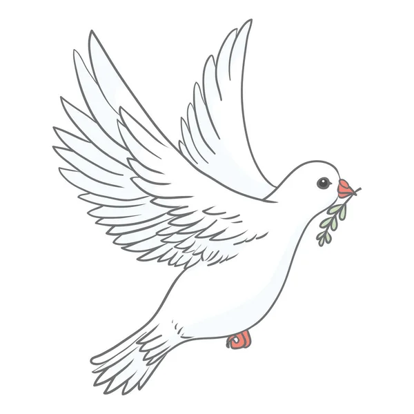 Pigeon Green Olive Branch White Background Logo Symbol Love Messengers ストックベクター