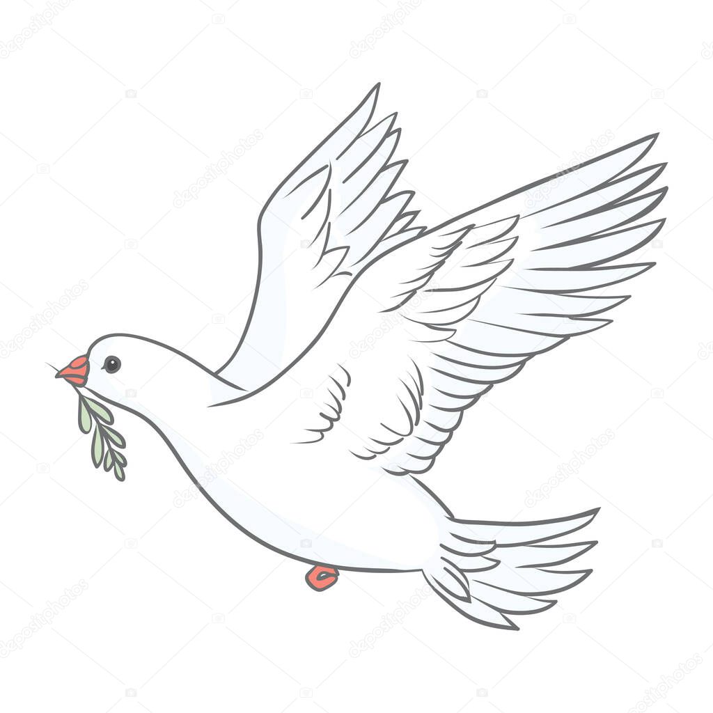 Pigeon with green olive branch on white background. Logo, symbol of love and messengers. Flat vector Beautiful graphic isolated element. Flying cartoon bird drawing.