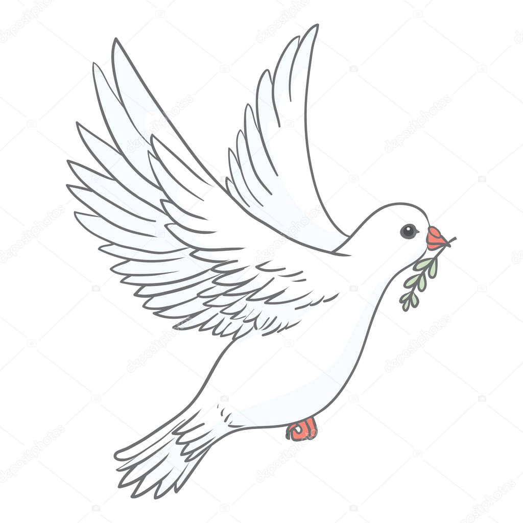 Pigeon with green olive branch on white background. Logo, symbol of love and messengers. Flat vector Beautiful graphic isolated element. Flying cartoon bird drawing.