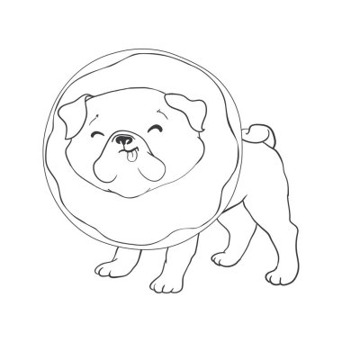 Pug vektör el çizimi siyah renk ile beyaz arkaplanda izole