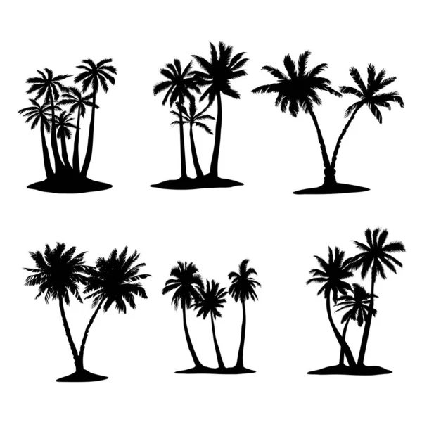 Hindistan Cevizi Ağacı Palmiye Seti Simgesi Vektör Çizimi Biçimi Beyaz — Stok Vektör